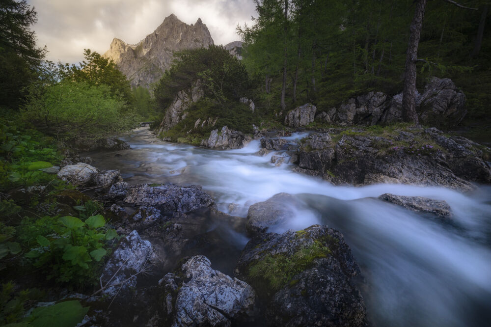 Flowing water, Tappenkarsee