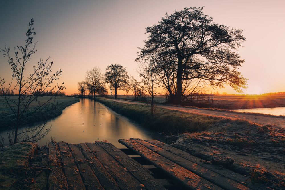 Dutch country side