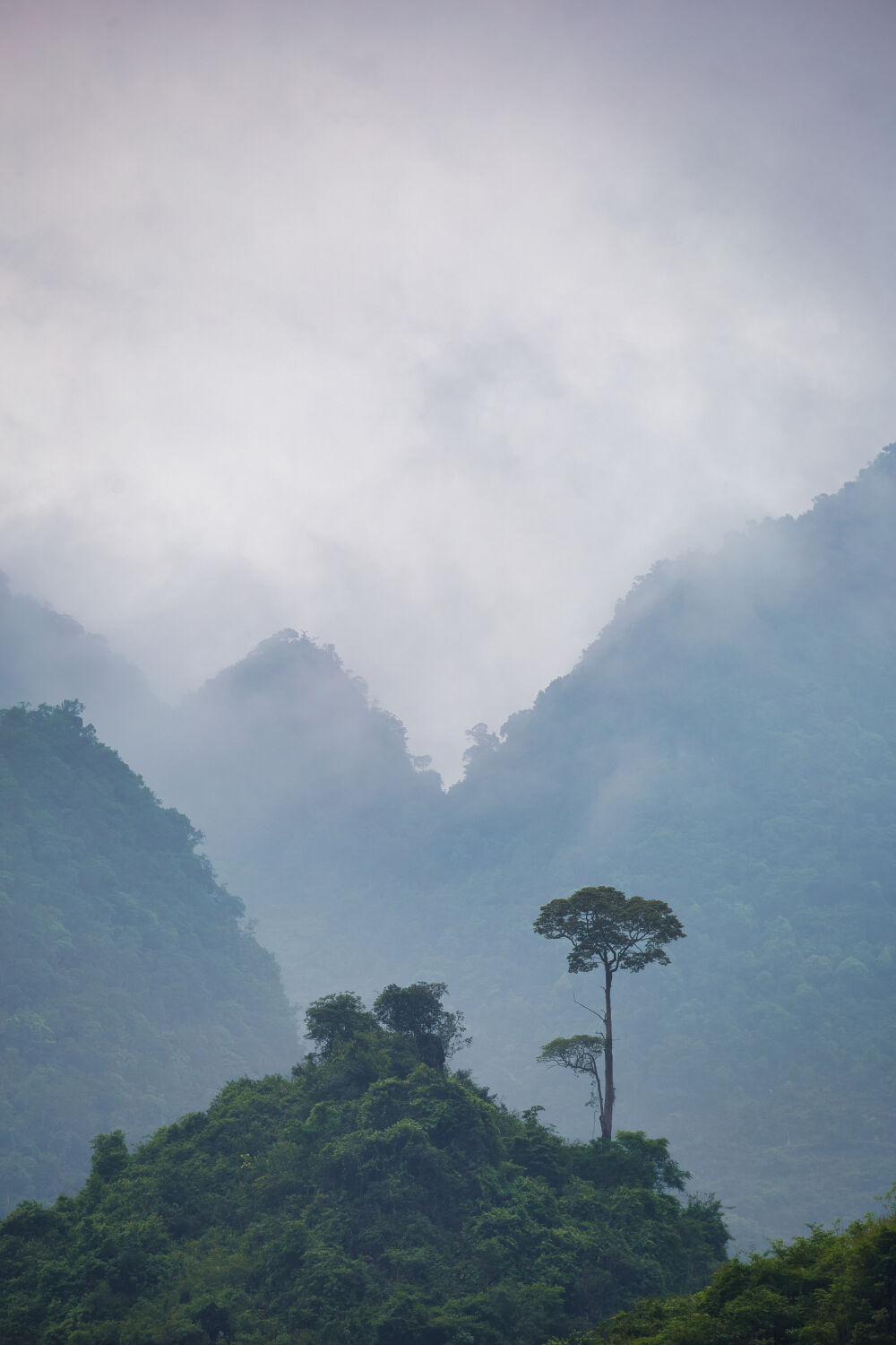 Mistig Vietnam