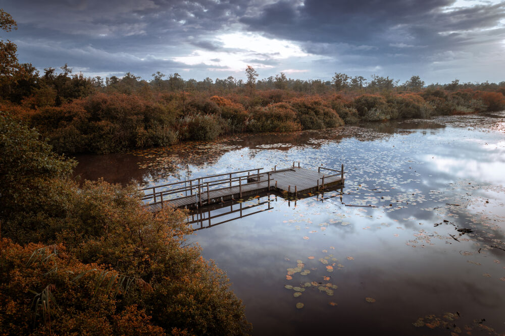 Moerputten Steiger Herfst