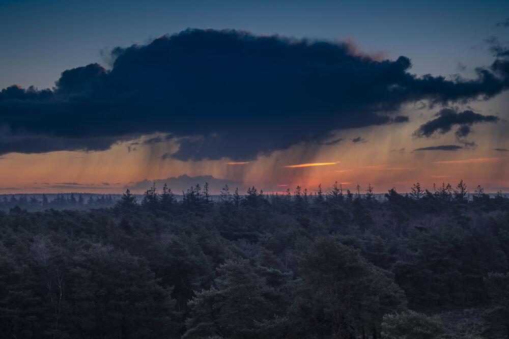 Buien boven de bossen