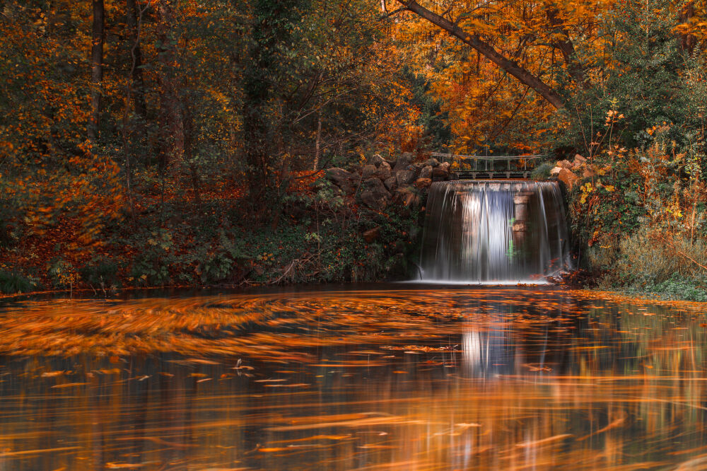 Sonsbeek