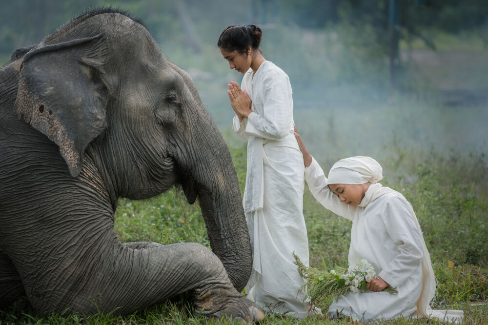 Praying for nature