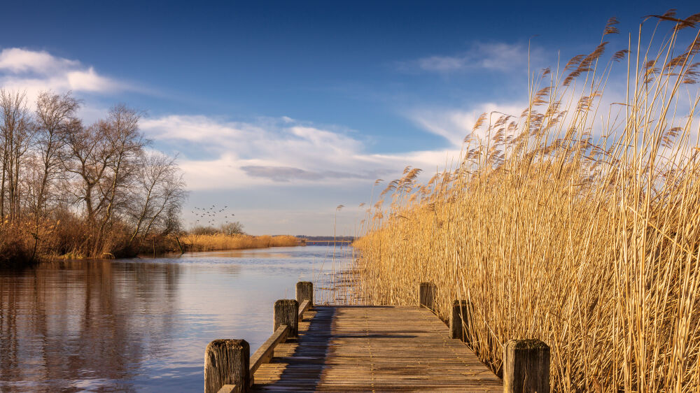 Een steigertje aan het Zuidlaardermeer