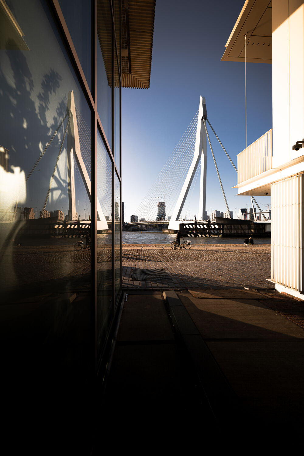 Rotterdam Erasmusbrug Reflection