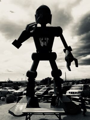 Santa Fe NM Robot 1