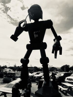 Santa Fe NM Robot 2