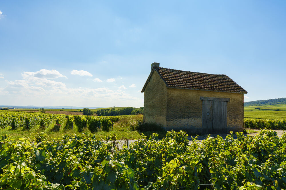 French barn in wine region