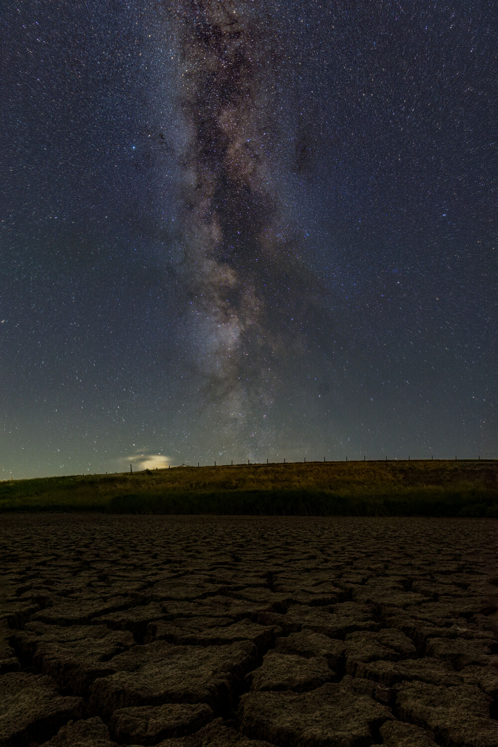 Starry landscape