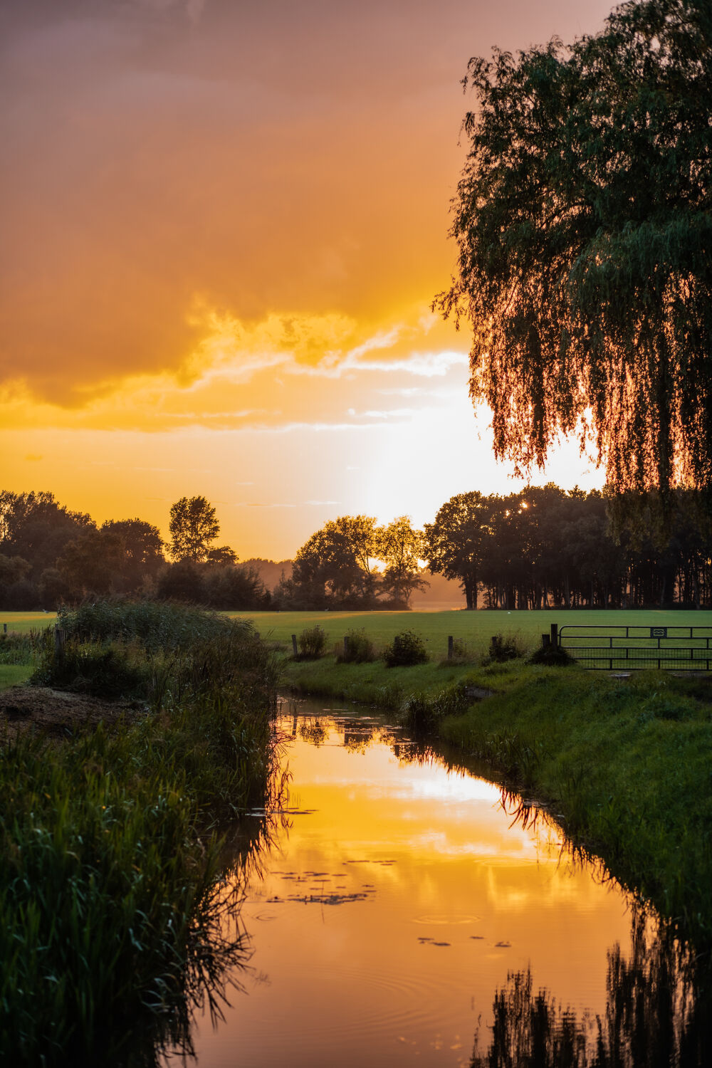 Zonsondergang