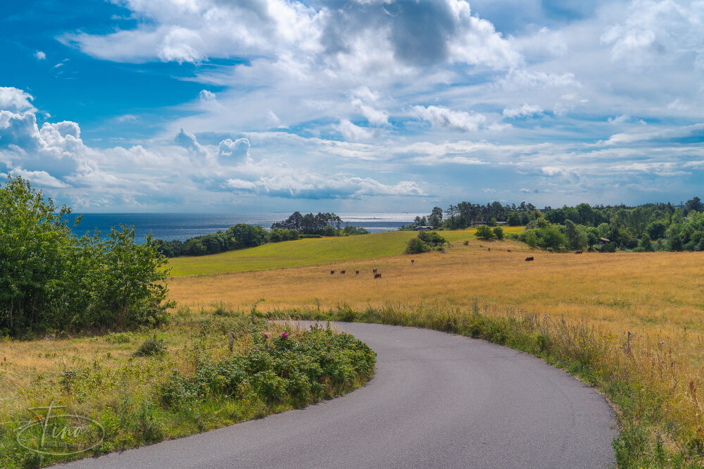 My road to the beach