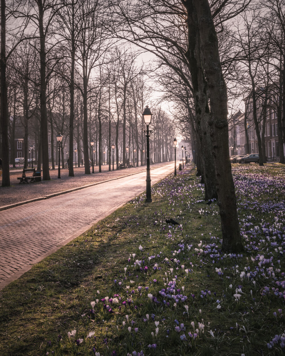 Lange Voorhout The Hague 