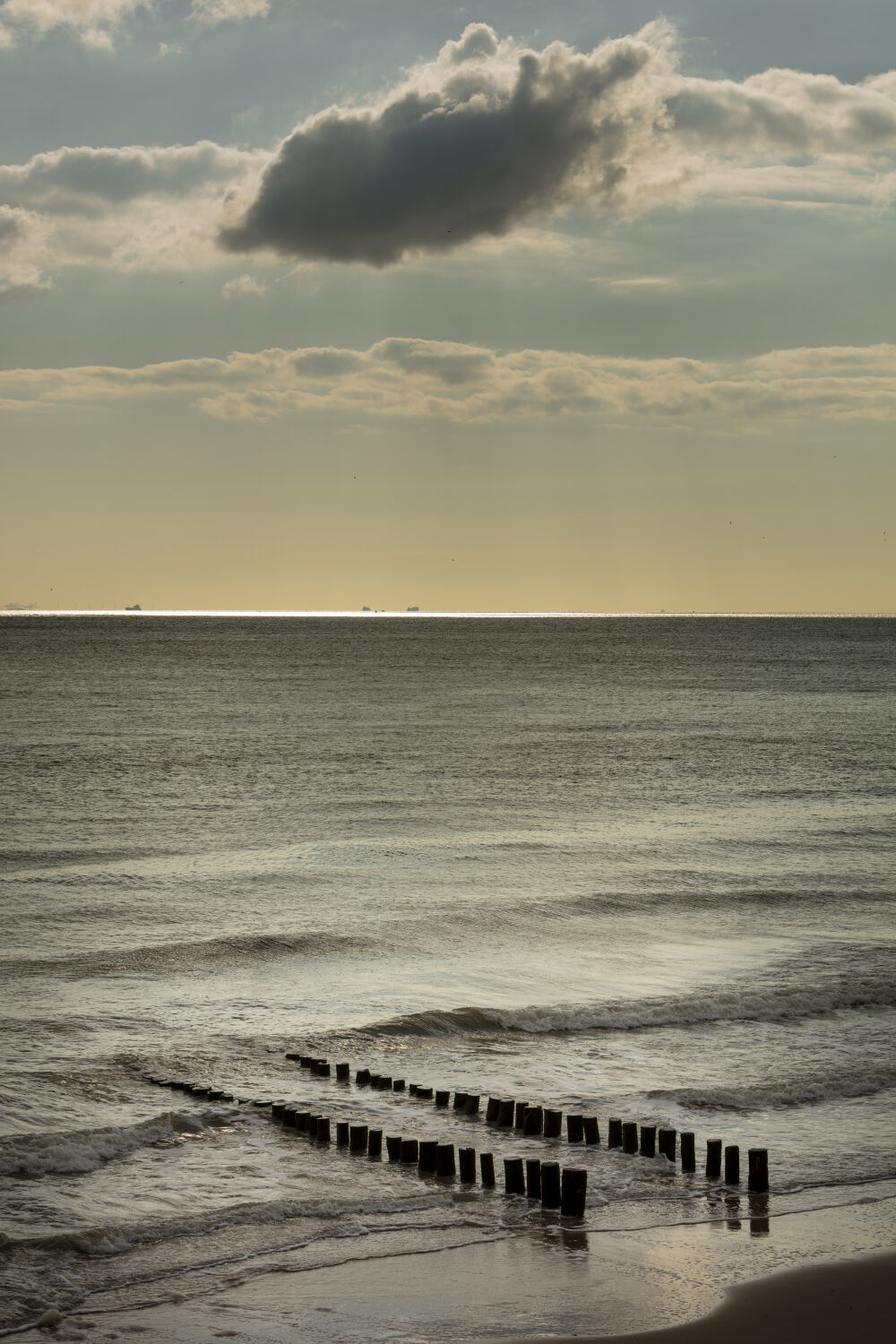 Strand Zoutelande