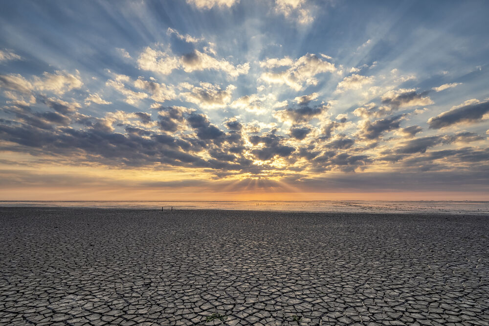 Waddenzee