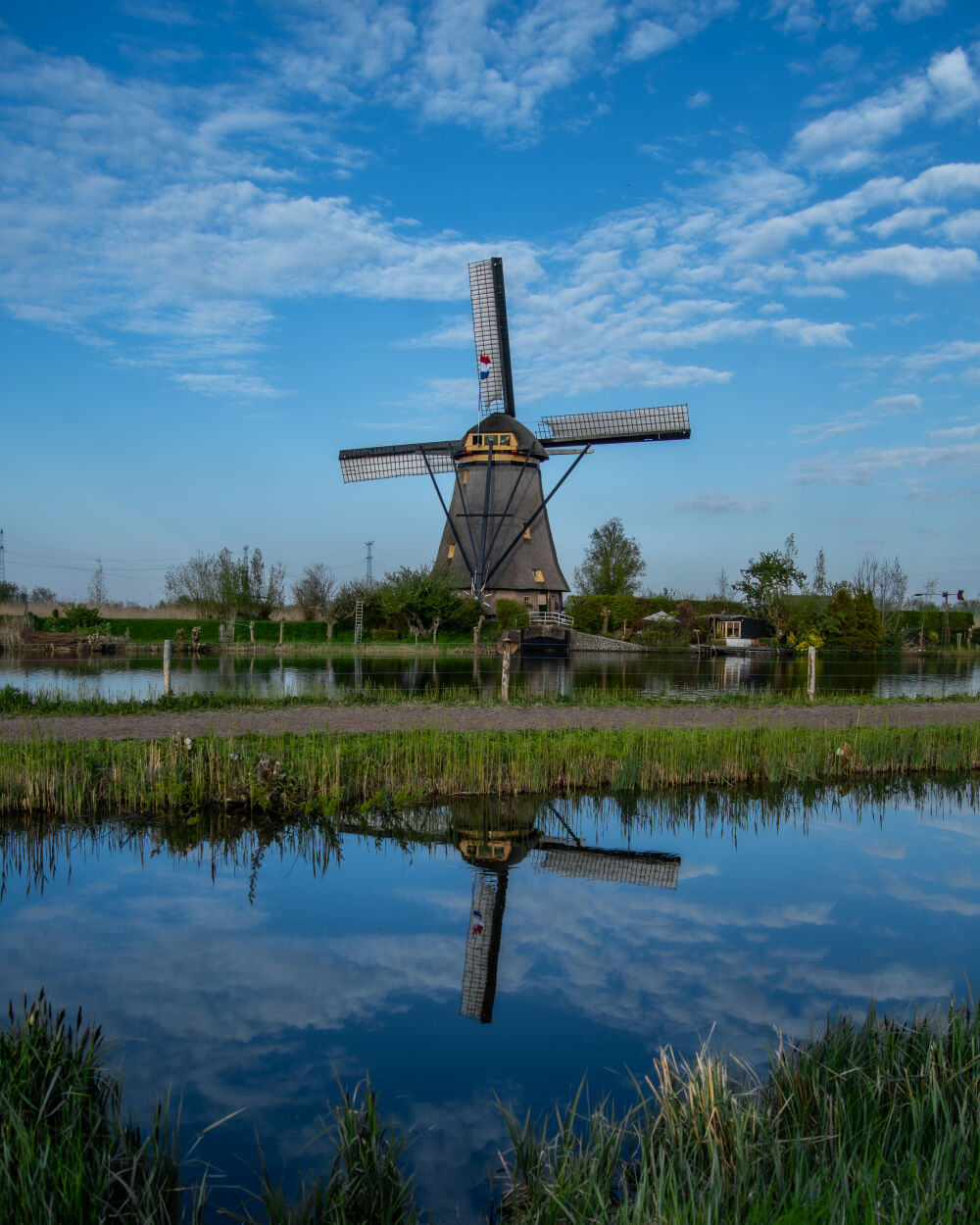 Kinderdijk Blue reflection