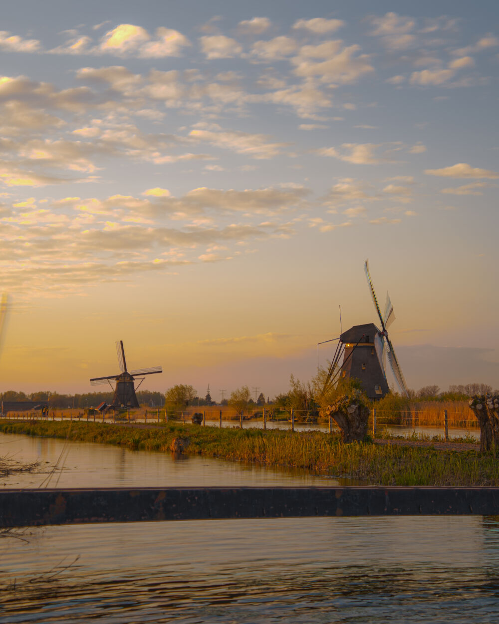 Kleurrijk Kinderdijk