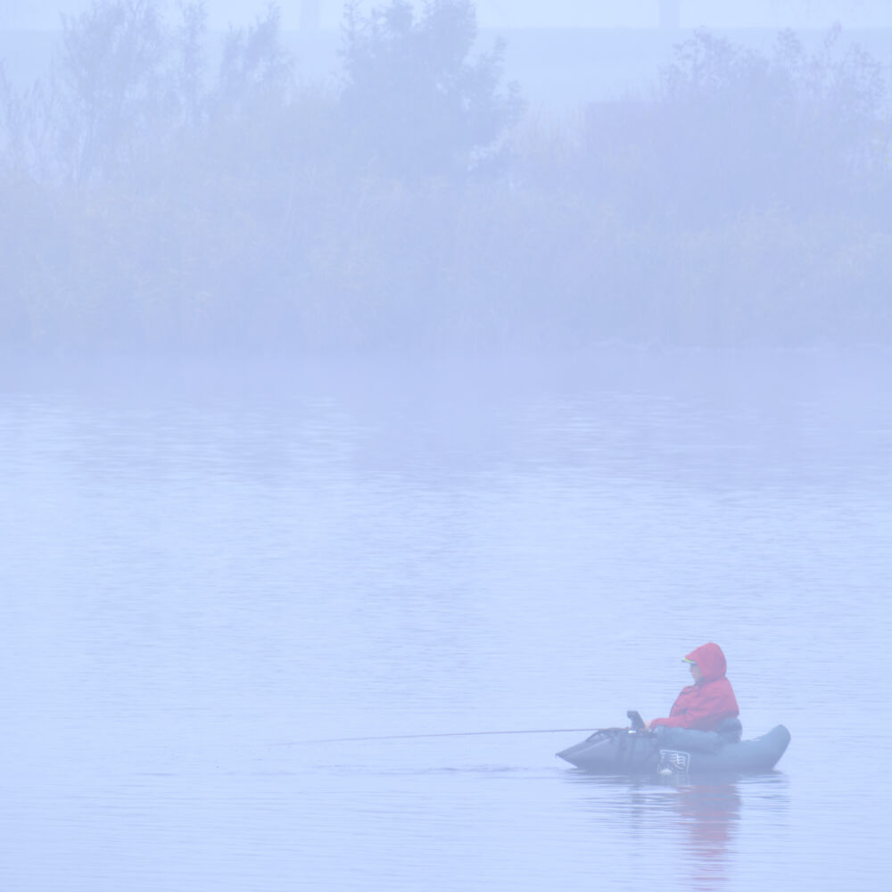 Visser in de mist