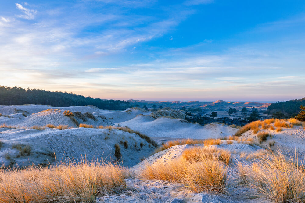 Zonsopgang in de duinen 2