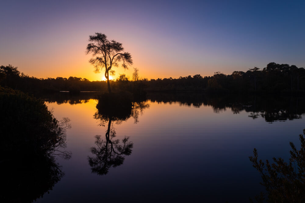 Zonsopkomst Oisterwijkse Bossen & Vennen